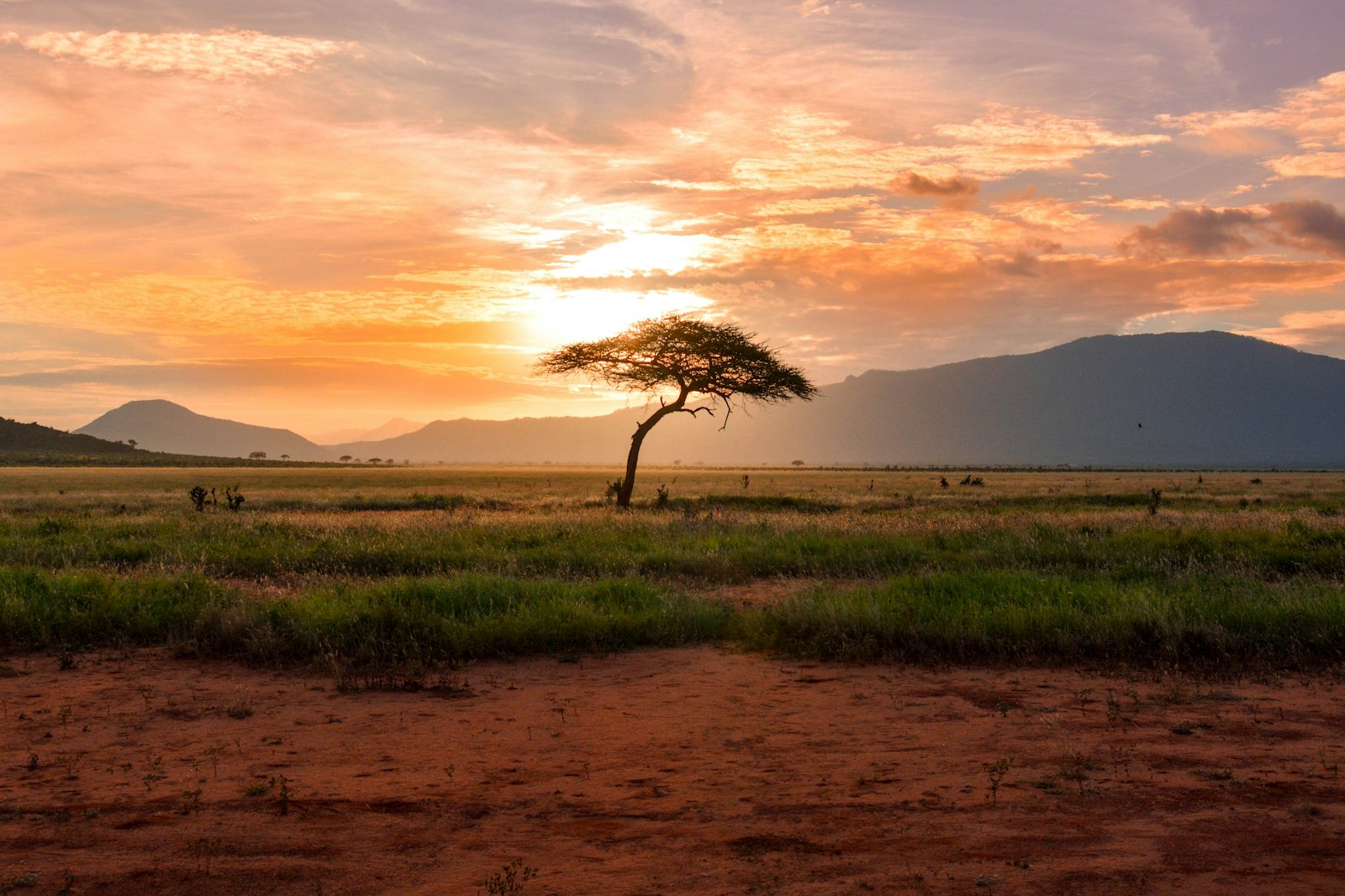 Coastal Kenya landscape