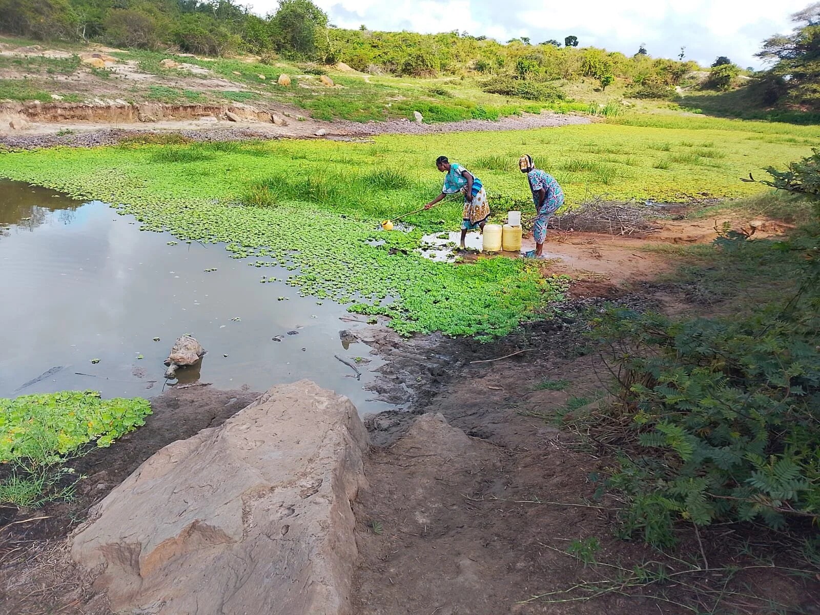 Community members fetching water